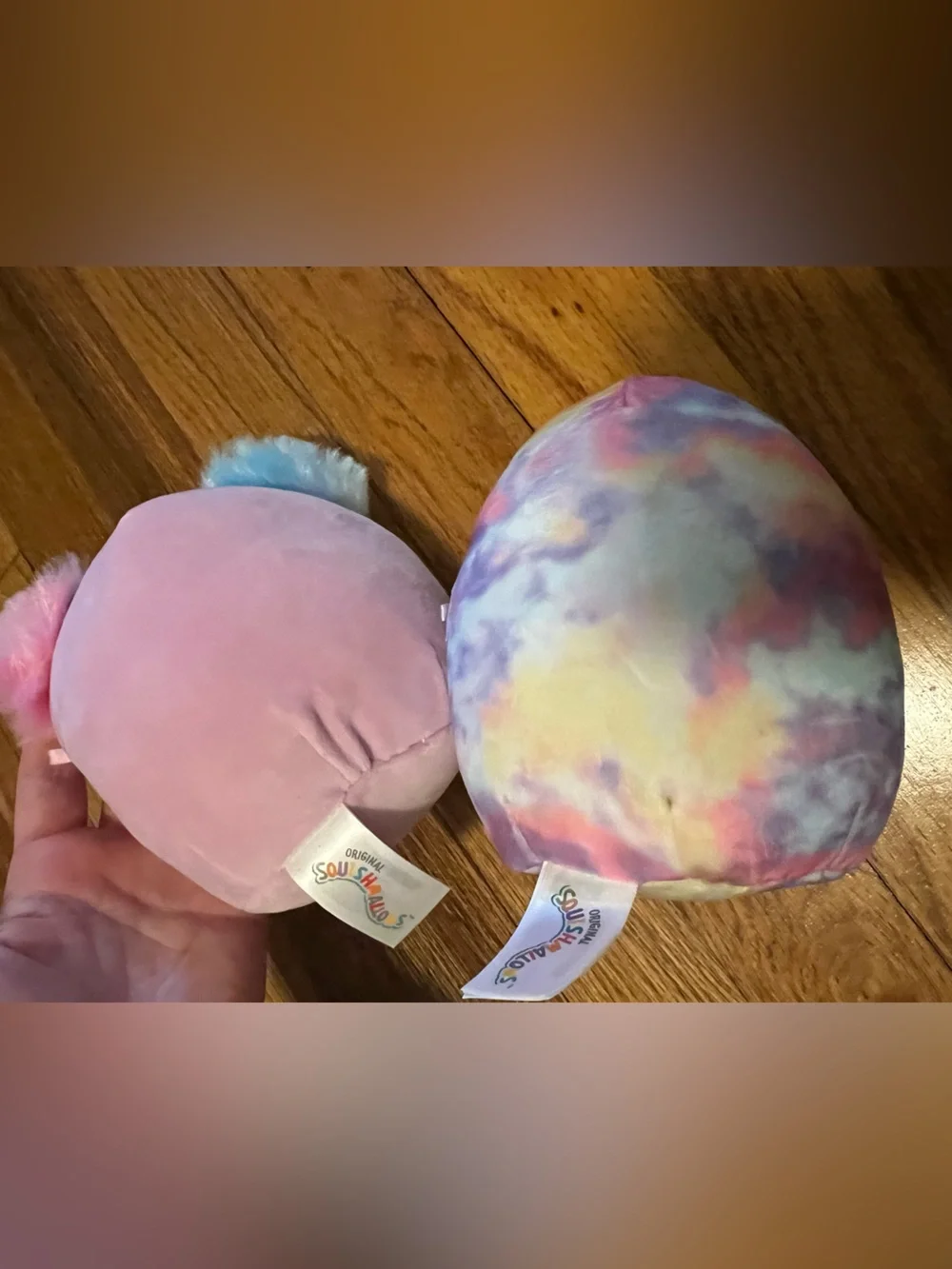 Mini squishmallows set of 2 Koala and Sloth